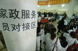 长春家政服务展新篇 就业对接 暖民解难